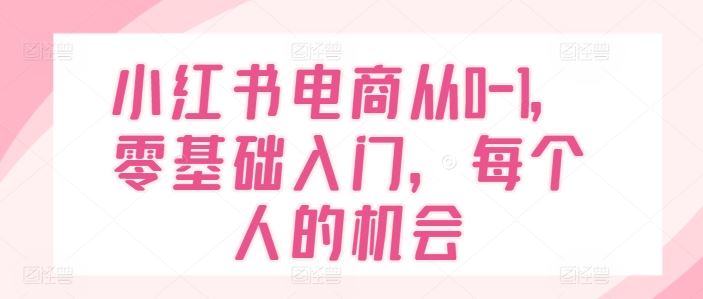 小红书电商从0-1，零基础入门，每个人的机会-学仕资源网