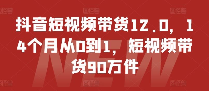 抖音短视频带货12.0，14个月从0到1，短视频带货90万件-学仕资源网