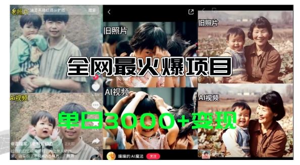 全网爆火的AI让老照片动起来教程，蹭热点日赚3k+，内含免费工具一键可生成【揭秘】-学仕资源网