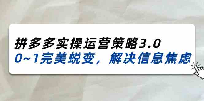 2024-2025拼多多实操运营策略3.0，0~1完美蜕变，解决信息焦虑（38节）-学仕资源网