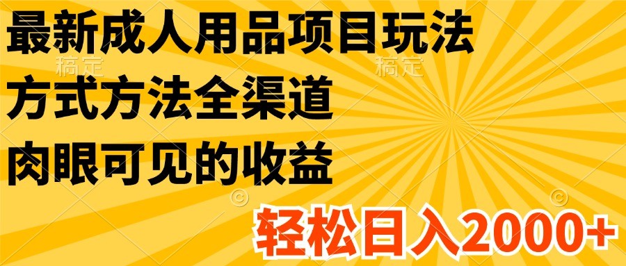 最新成人用品项目玩法，方式方法全渠道，肉眼可见的收益，轻松日入2000+-学仕资源网
