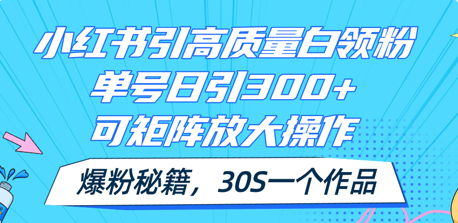 （11692期）小红书引高质量白领粉，单号日引300+，可放大操作，爆粉秘籍！30s一个作品-学仕资源网