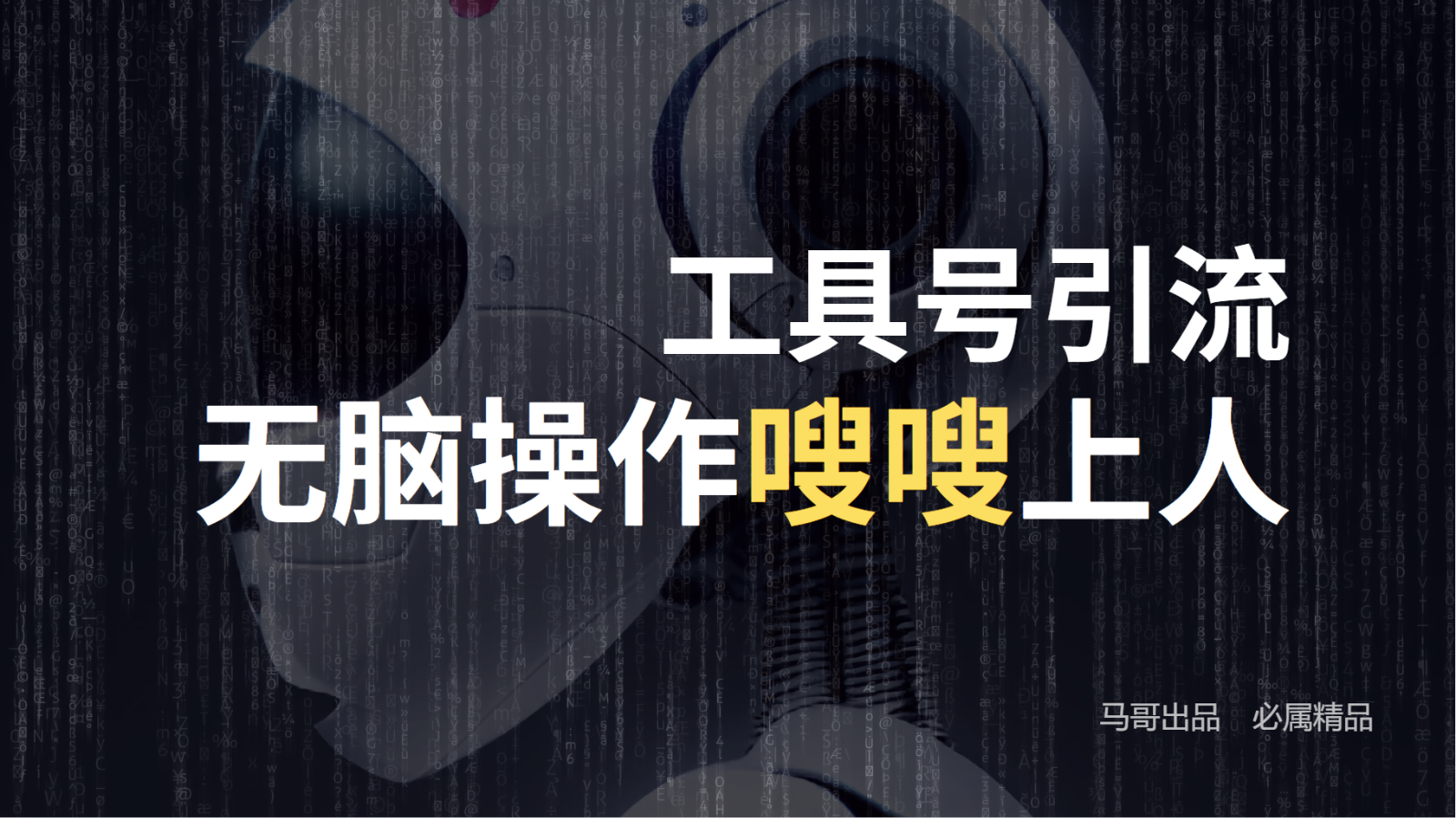 工具号高效引流法，嗖嗖上人，日引1000+，直接搬运，无脑操作-学仕资源网