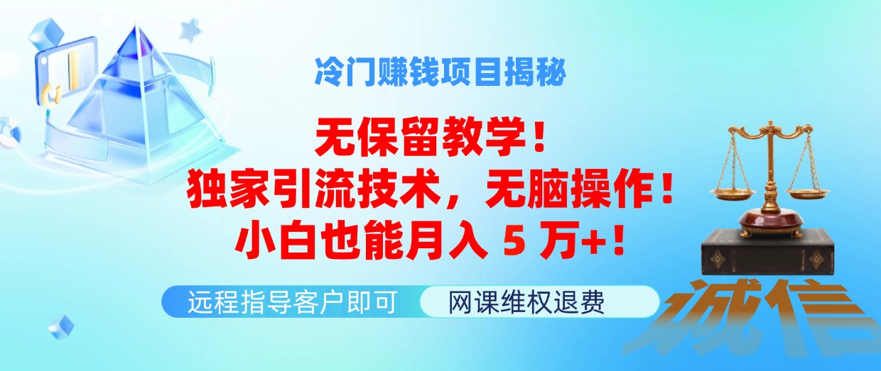 （11864期）冷门赚钱项目无保留教学！独家引流技术，无脑操作！小白也能月入5万+！-学仕资源网