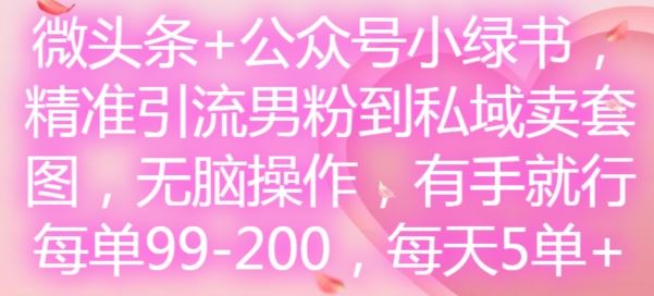微头条+公众号小绿书，精准引流男粉到私域卖套图，无脑操作，有手就行，每单99-200，每天5单-学仕资源网