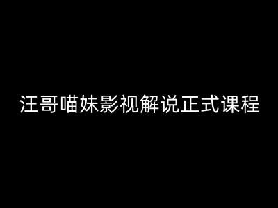 汪哥影视解说正式课程：剪映/PR教学/视解说剪辑5大黄金法则/全流程剪辑7把利器等等-学仕资源网