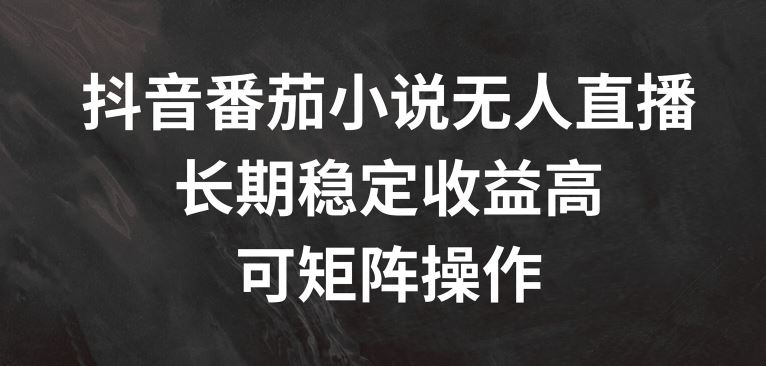 抖音番茄小说无人直播，长期稳定收益高，可矩阵操作【揭秘】-学仕资源网