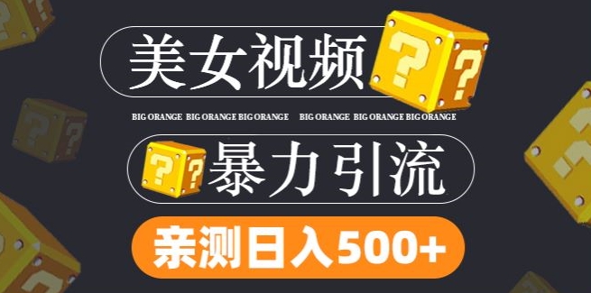 搬运tk美女视频全网分发，日引s粉300+，轻松变现，不限流量不封号-学仕资源网