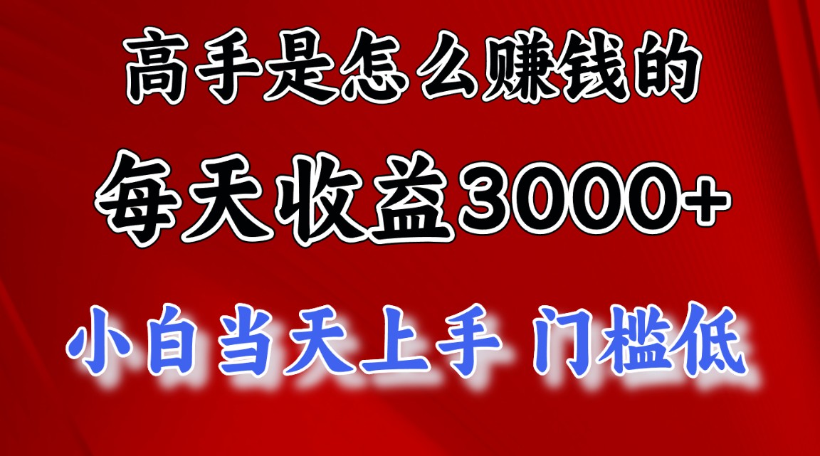 （12144期）1天收益3000+，月收益10万以上，24年8月份爆火项目-学仕资源网