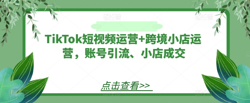 TikTok短视频运营+跨境小店运营，账号引流、小店成交-学仕资源网