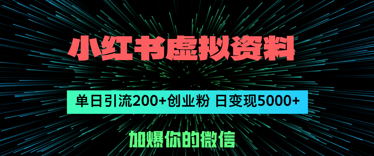 （12164期）小红书虚拟资料日引流200+创业粉，单日变现5000+-学仕资源网
