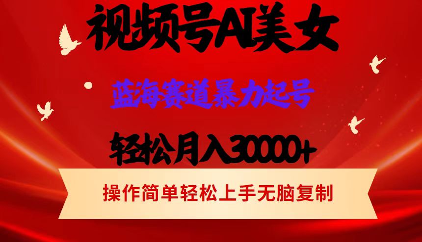 （12178期）视频号AI美女跳舞，轻松月入30000+，蓝海赛道，流量池巨大，起号猛，当…-学仕资源网