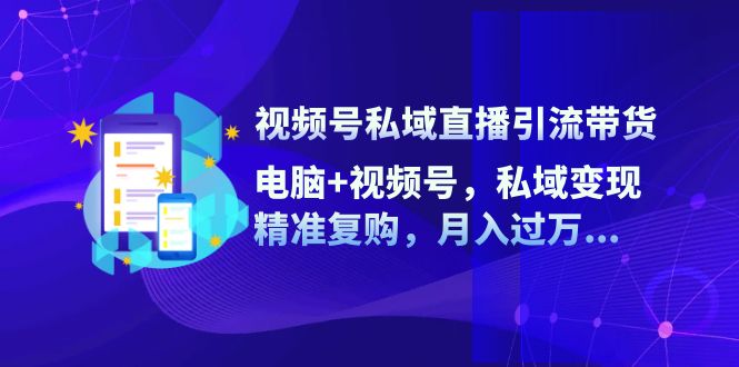 （12249期）视频号私域直播引流带货：电脑+视频号，私域变现，精准复购，月入过万…-学仕资源网