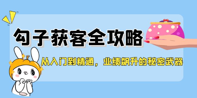 从入门到精通，勾子获客全攻略，业绩飙升的秘密武器-学仕资源网