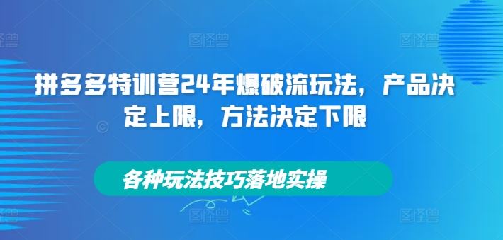 拼多多特训营24年爆破流玩法，产品决定上限，方法决定下限，各种玩法技巧落地实操-学仕资源网