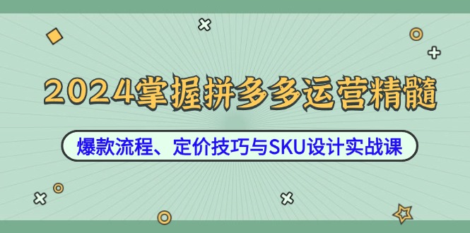 2024掌握拼多多运营精髓：爆款流程、定价技巧与SKU设计实战课-学仕资源网