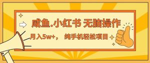 (11524期)2024最赚钱的项目,咸鱼,小红书无脑操作,每单利润500+,轻松月入5万+…-学仕资源网