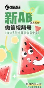 梅花实验室2024年AB技术视频号AB合成破解版-学仕资源网