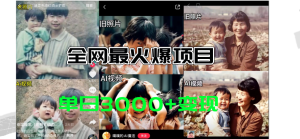 (11546期)全网爆火的AI让老照片动起来教程,蹭热点日赚3000+,内含免费工具一键…-学仕资源网