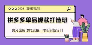 2024拼多多单品爆款打造班,充分应用你的流量,增长实战培训(更新6月)-学仕资源网