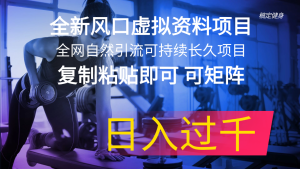 (11587期)全新风口虚拟资料项目 全网自然引流可持续长久项目 复制粘贴即可可矩阵…-学仕资源网