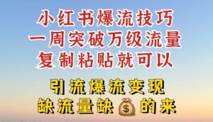 小红书爆流技巧,一周突破万级流量,复制粘贴就可以,引流爆流变现【揭秘】-学仕资源网