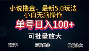 （11651期）全自动小说撸金，单号日入100+小白轻松上手，无脑操作-学仕资源网
