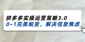 (11658期)2024_2025拼多多实操运营策略3.0,0~1完美蜕变,解决信息焦虑(38节)-学仕资源网
