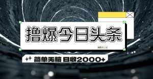 (11665期)撸爆今日头条 简单无脑操作 日收2000+-学仕资源网