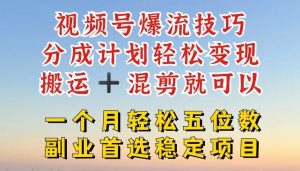 视频号爆流技巧,分成计划轻松变现,搬运 +混剪就可以,一个月轻松五位数稳定项目【揭秘】-学仕资源网