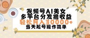 (11684期)视频号AI美女,轻松月入30000+,操作简单轻松上手-学仕资源网