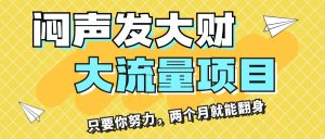 (11688期)闷声发大财,大流量项目,月收益过3万,只要你努力,两个月就能翻身-学仕资源网