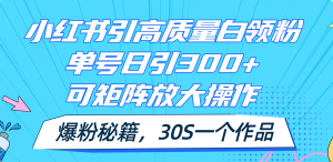 (11692期)小红书引高质量白领粉,单号日引300+,可放大操作,爆粉秘籍!30s一个作品-学仕资源网