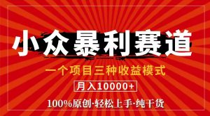 (11695期)视频号【中老年粉深信不疑】小众赛道 100%原创 手把手教学 新号3天收益…-学仕资源网