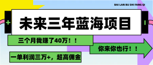 (11716期)未来三年,蓝海赛道,月入3万+-学仕资源网