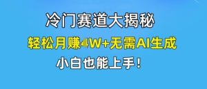 冷门赛道大揭秘，轻松月赚1W+无需AI生成，小白也能上手【揭秘】-学仕资源网
