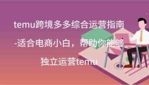 temu跨境多多综合运营指南-适合电商小白,帮助你能够独立运营temu(44节)-学仕资源网