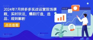 2024年7月拼多多实战运营现场课程,实时玩法,爆款打造,选品、规则解析-学仕资源网