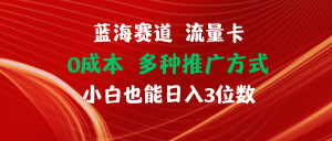 (11768期)蓝海赛道 流量卡 0成本 小白也能日入三位数-学仕资源网