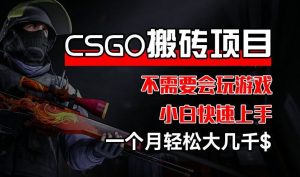 CSGO 装备搬砖项目，操作简单，不需要会玩游戏，小白也能快速上手，一个月轻松大几千【揭秘】-学仕资源网