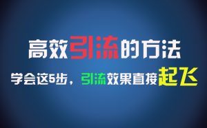 高效引流的方法，可以帮助你日引300+创业粉，一年轻松收入30万，比打工强太多！-学仕资源网