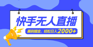 (11782期)快手美女跳舞3.0,简单无脑,轻轻松松日入2000+-学仕资源网