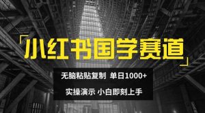 小红书国学赛道，无脑粘贴复制，单日1K，实操演示，小白即刻上手【揭秘】-学仕资源网