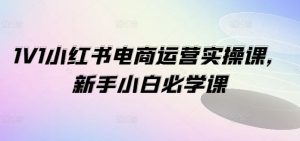 1V1小红书电商运营实操课,新手小白必学课-学仕资源网