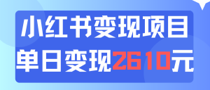 (11885期)利用小红书卖资料单日引流150人当日变现2610元小白可实操(教程+资料)-学仕资源网