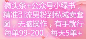 微头条+公众号小绿书,精准引流男粉到私域卖套图,无脑操作,有手就行,每单99-200,每天5单-学仕资源网