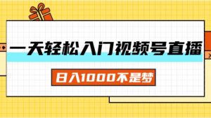 (11906期)一天入门视频号直播带货,日入1000不是梦-学仕资源网