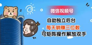 (11910期)微信视频号自助独立后台每天躺赚三位数可矩阵操作解放双手-学仕资源网