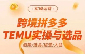 跨境拼多多TEMU实操与选品,多多temu跨境选品运营实操-学仕资源网