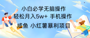 全网首发2024最暴利手机操作项目,简单无脑操作,每单利润最少500+-学仕资源网